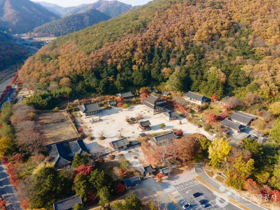 산자락 사이 골짜기에 자리한 사찰 경내를 내려다본 모습