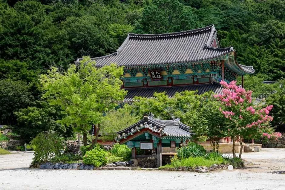 초록 나무 사이로 보이는 기와지붕 전각과 작은 부속 건물
