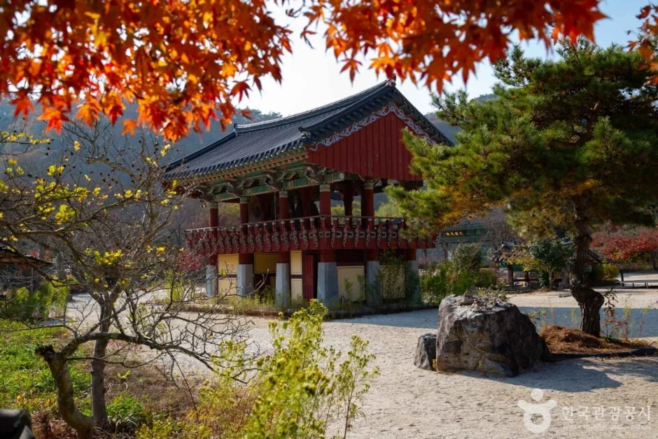 붉게 물든 나뭇잎 아래 마당 너머로 보이는 누각