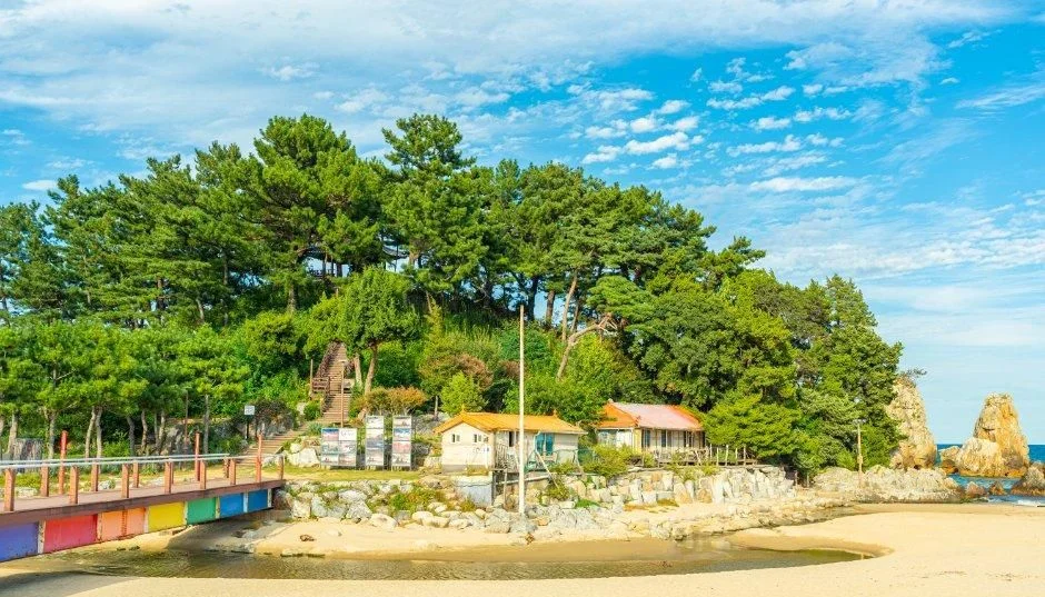 소나무 숲과 바위가 이어진 해변과 모래사장