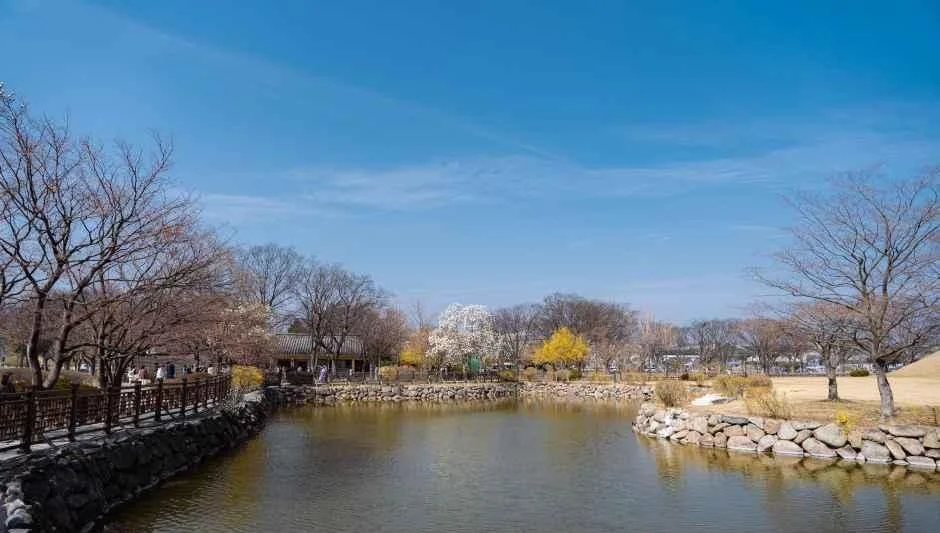 연못가 산책로와 잎이 적은 나무가 보이는 대릉원 일대