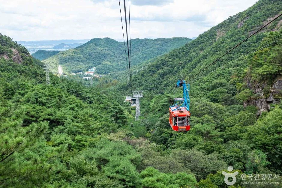 푸른 숲 위 와이어를 따라 내려오는 붉은 케이블카와 먼 산