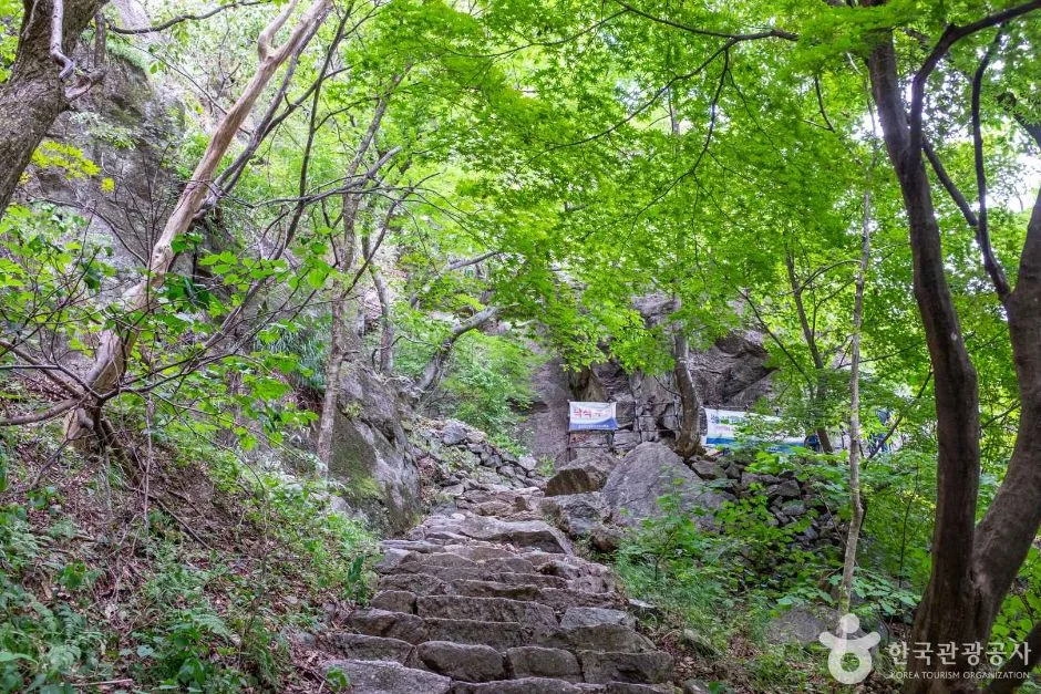 숲 사이로 이어지는 돌계단 탐방로