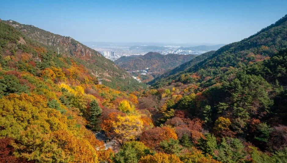 단풍이 든 산자락과 멀리 펼쳐진 평지