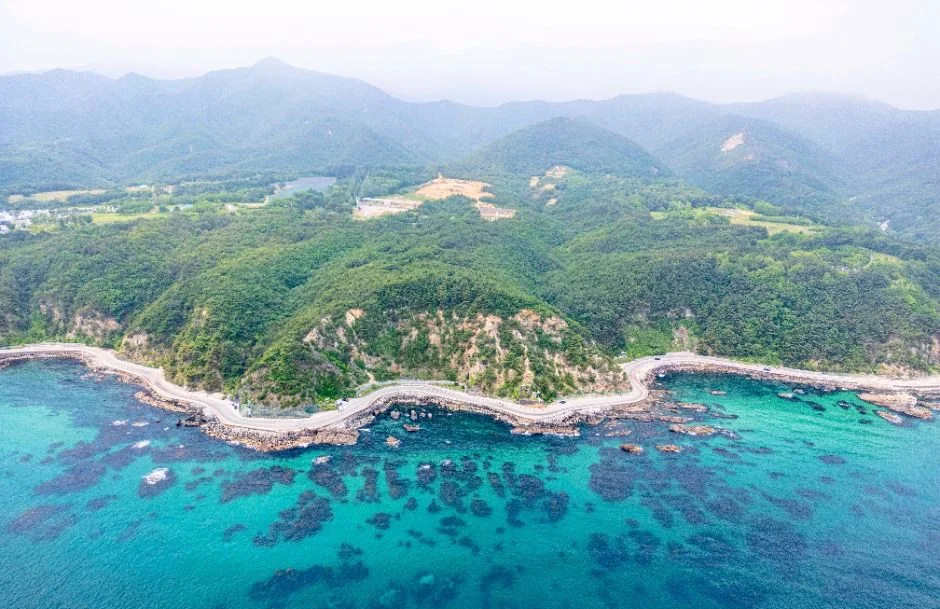 산자락 아래 푸른 바다를 따라 이어지는 헌화로 일대 항공 사진