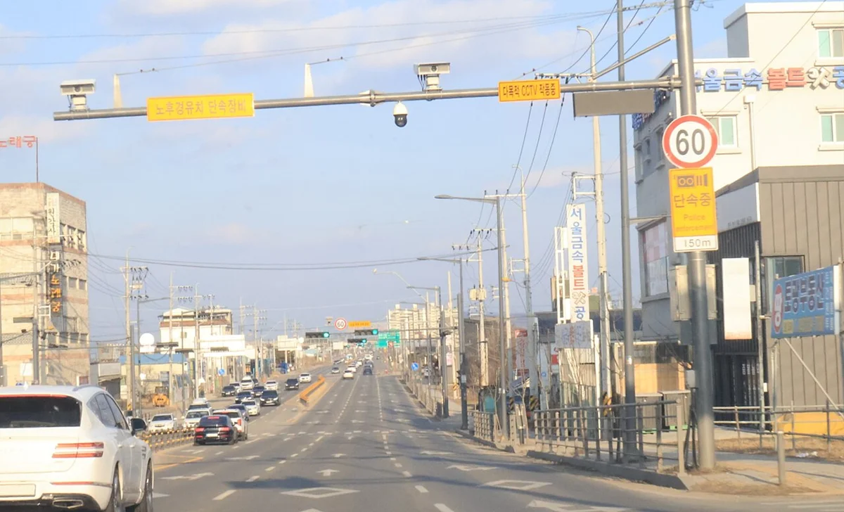 신호등과 단속 카메라, 제한속도 60km/h 표지가 이어지는 다차로 시가지 국도 모습
