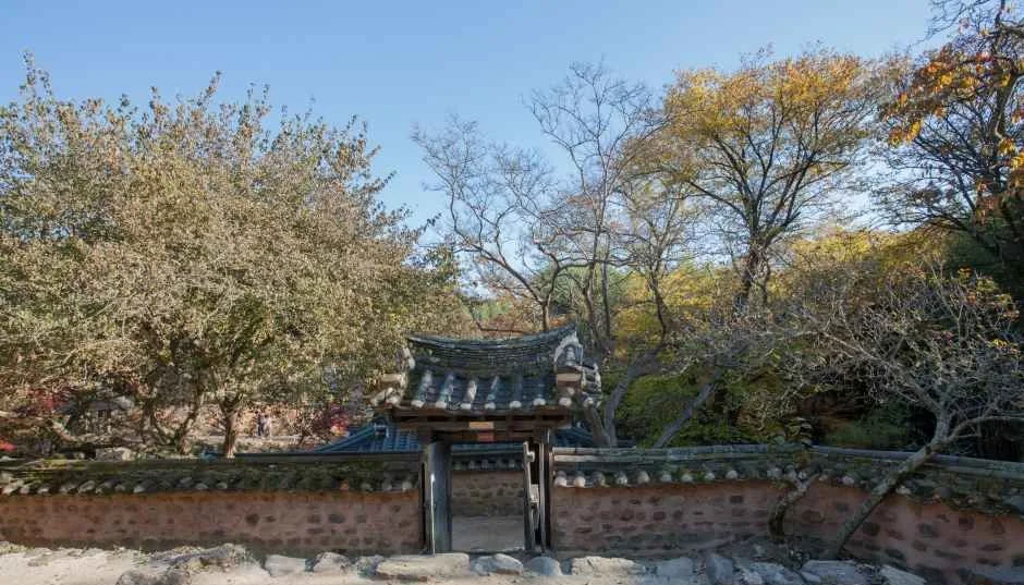 담장 가운데 솟은 지붕 얹은 문과 잎이 물든 나무