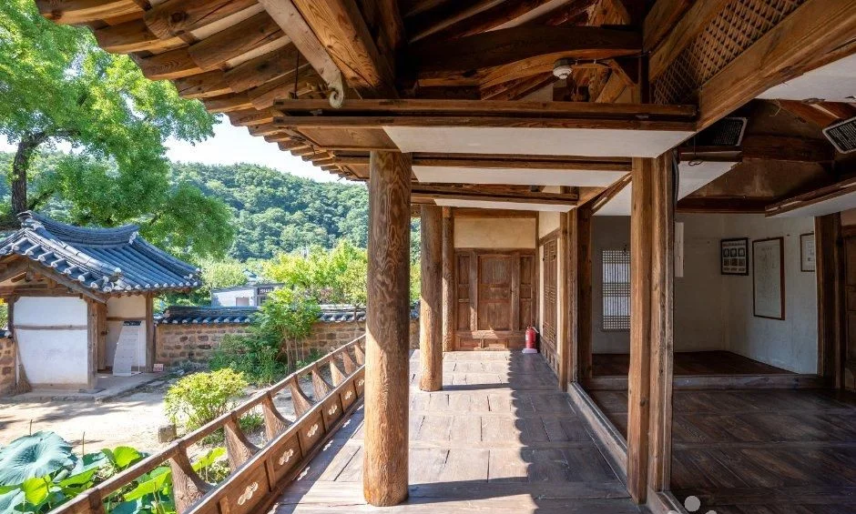 마루가 이어진 한옥 건물 안쪽에서 바깥 연잎과 지붕이 보이는 모습