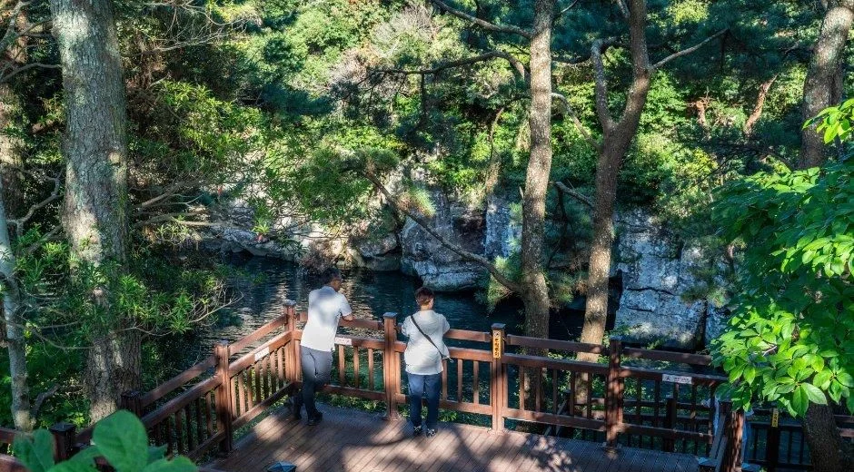 숲 속 전망 데크에서 계곡 물길을 내려다보는 사람들