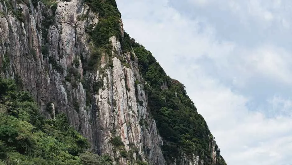 수직에 가까운 암벽과 숲이 보이는 산방산 사면