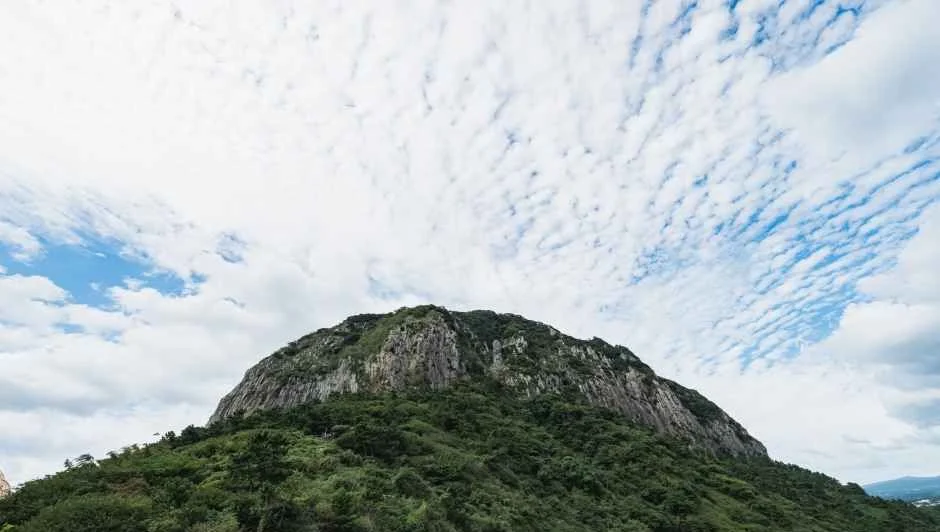 푸른 숲과 암벽으로 이루어진 돔 모양의 산방산 봉우리
