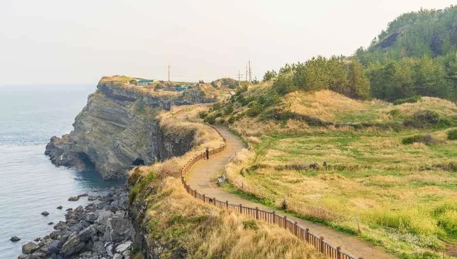 해안 절벽과 바다를 끼고 이어지는 산책로