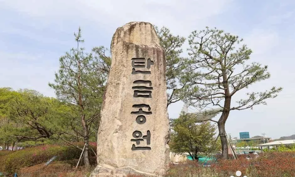 탄금공원이라고 새겨진 커다란 비석과 소나무