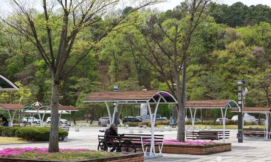 나무와 쉼터 지붕이 늘어선 공원 광장
