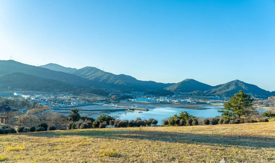 풀밭 언덕 너머로 산과 완도 마을, 물이 보이는 풍경