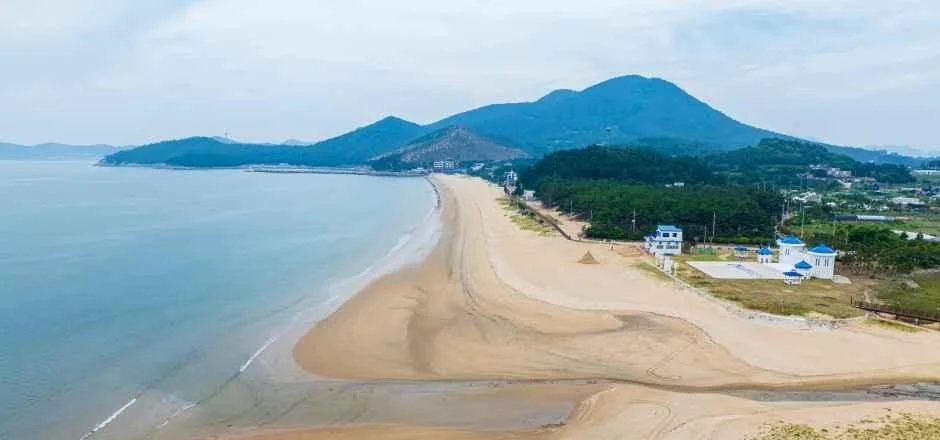 모래톱이 바다 쪽으로 굽어 나온 해안과 솔숲, 뒤쪽 산