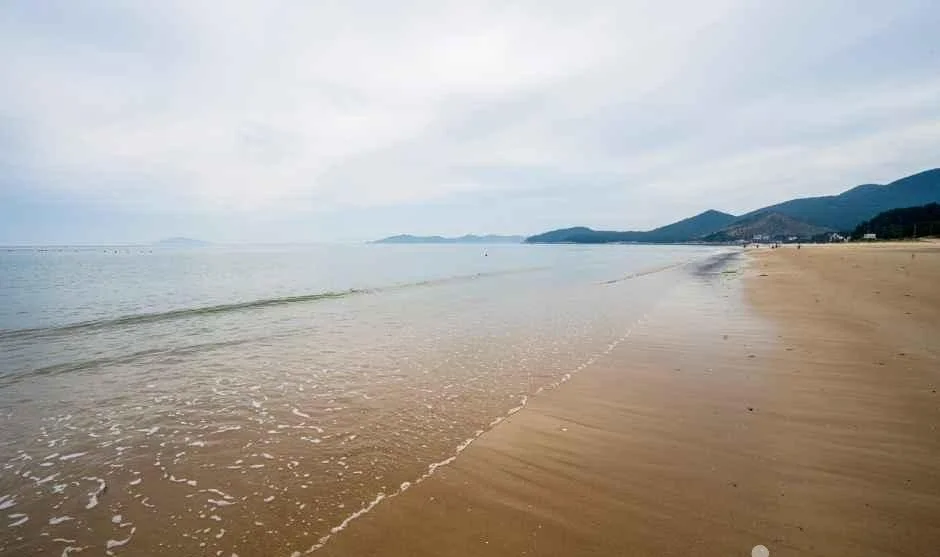 잔물결이 닿는 젖은 모래와 멀리 이어진 해안선