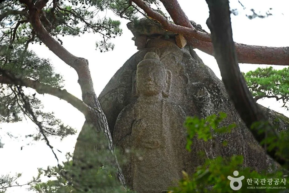 소나무 가지 사이로 보이는 마애여래좌상이 새겨진 바위