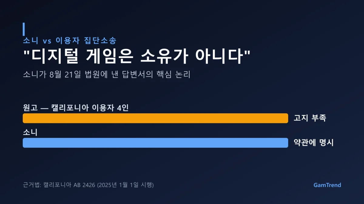 소니와 원고의 주장을 정리한 그래픽